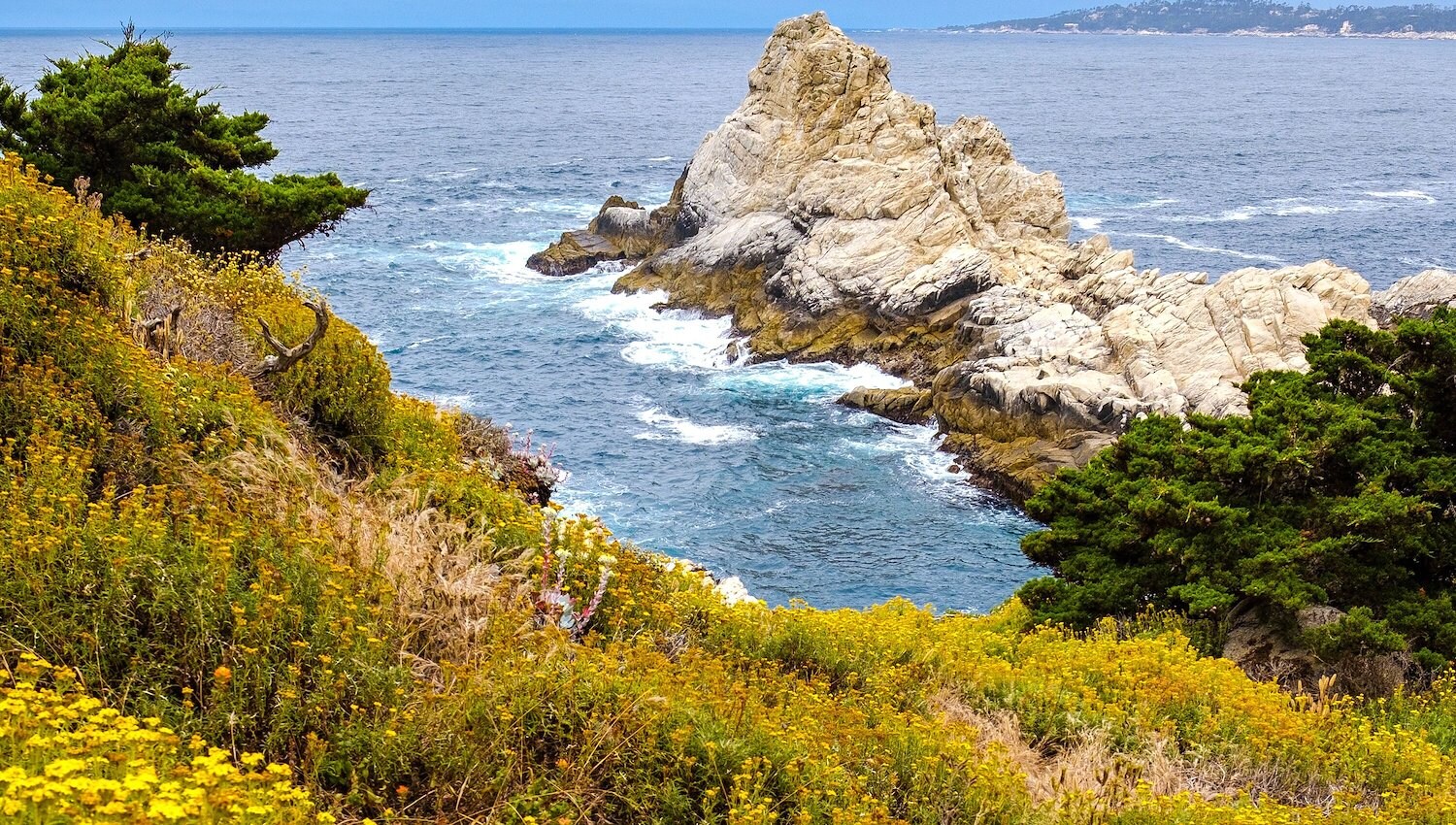 Lark Hotel's Guide to Carmel