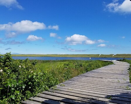 Biking and Hiking at Martha's Vineyard Land Bank 