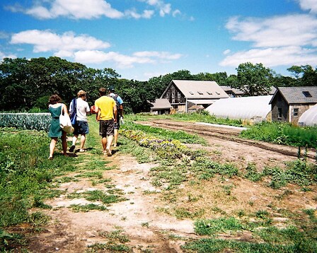 Morning Glory Farm 