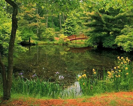 Mytoi Japanese Garden 