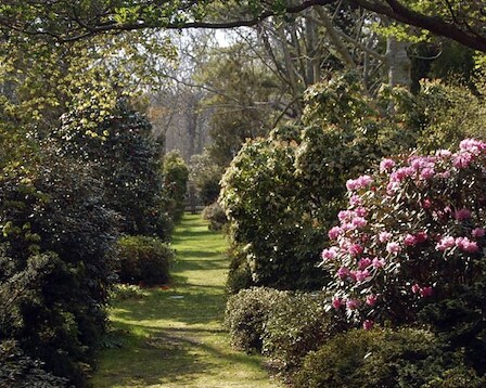 Polly Hill Arboretum 