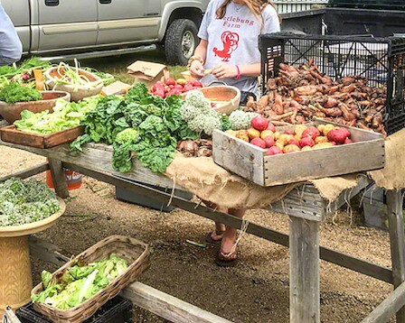 West Tisbury Farmers Market 