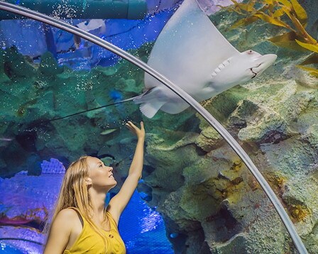 Ripley’s Aquarium of Myrtle Beach