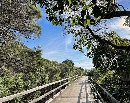Myrtle Beach State Park