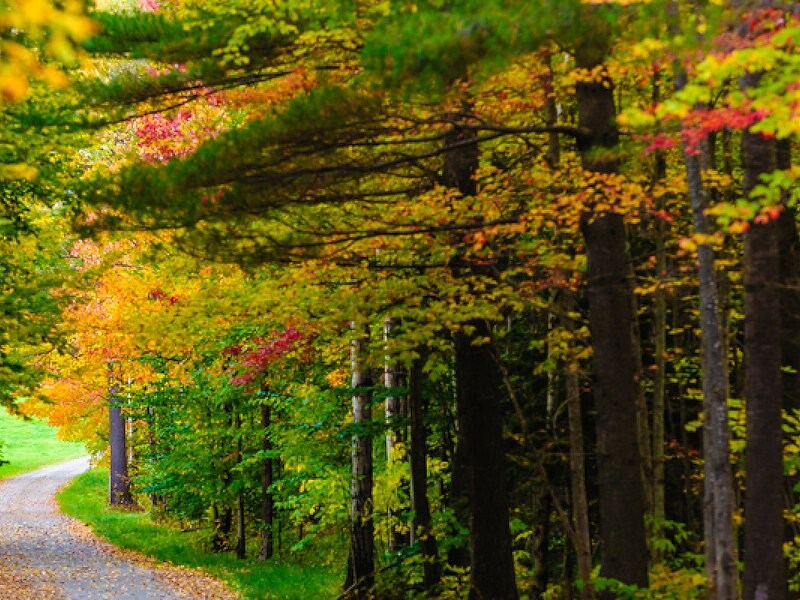 Best Places for Leaf Peeping on Cape Cod | Falmouth, Massachusetts ...