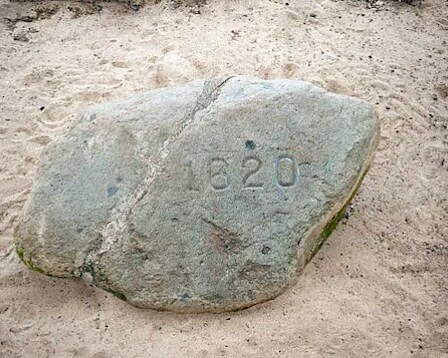  Plymouth rock 