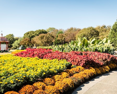 Dallas Arboretum and Botanical Garden