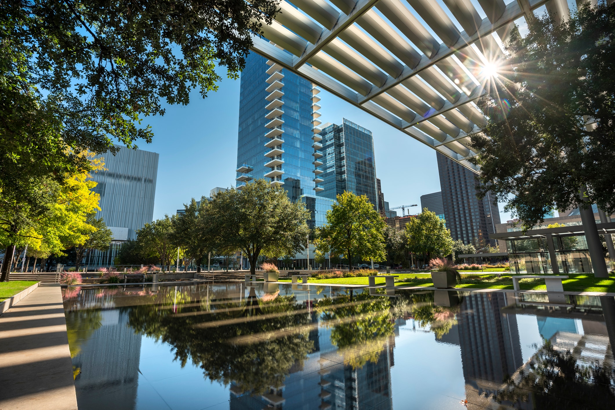 A city park with a pond, trees, and buildings in the background.