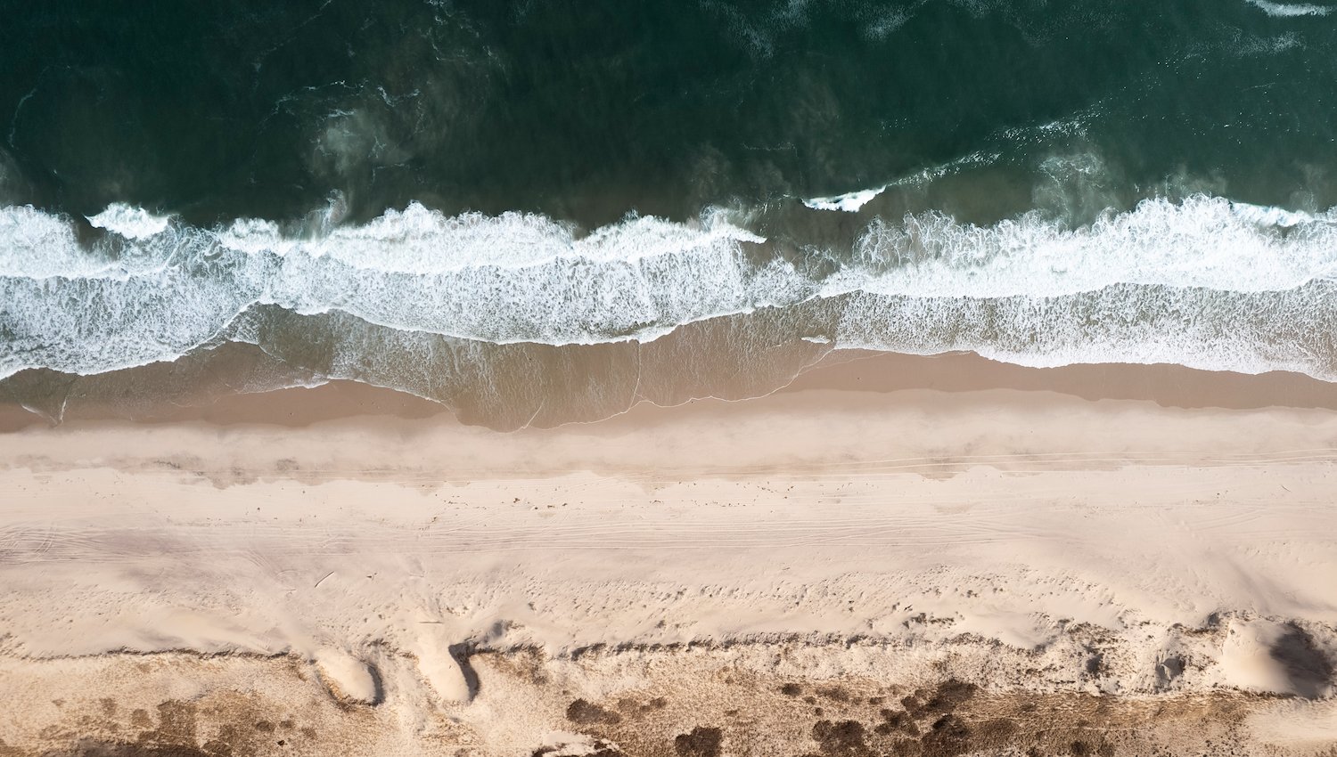 Beach in Hampton Bays