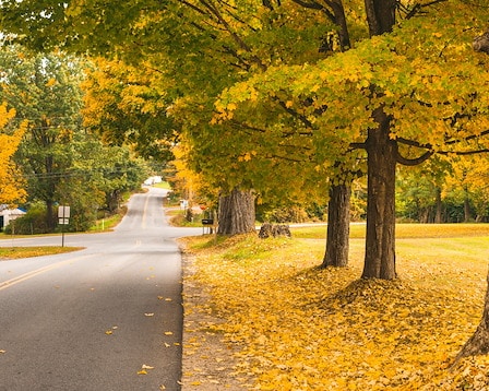 Faulkner Park in Vermont 