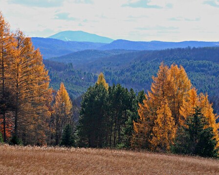 Marsh-Billings-Rockefeller National Historical Park