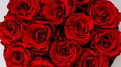 Romance Package