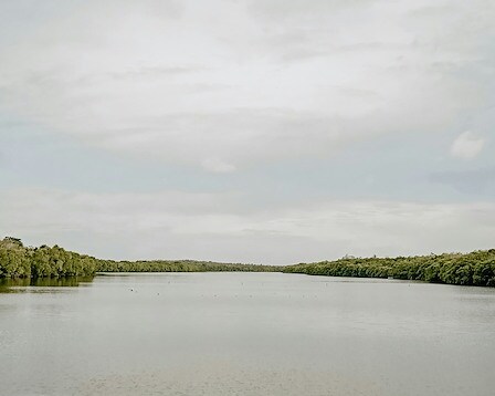 Lake Tohopekaliga (Lake Toho)