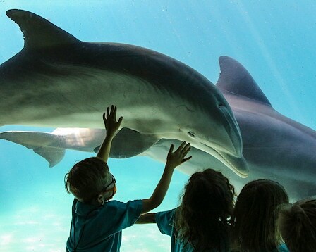 SeaWorld Orlando