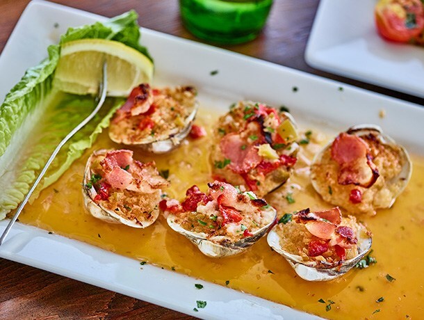 a plate of oysters on the half shell