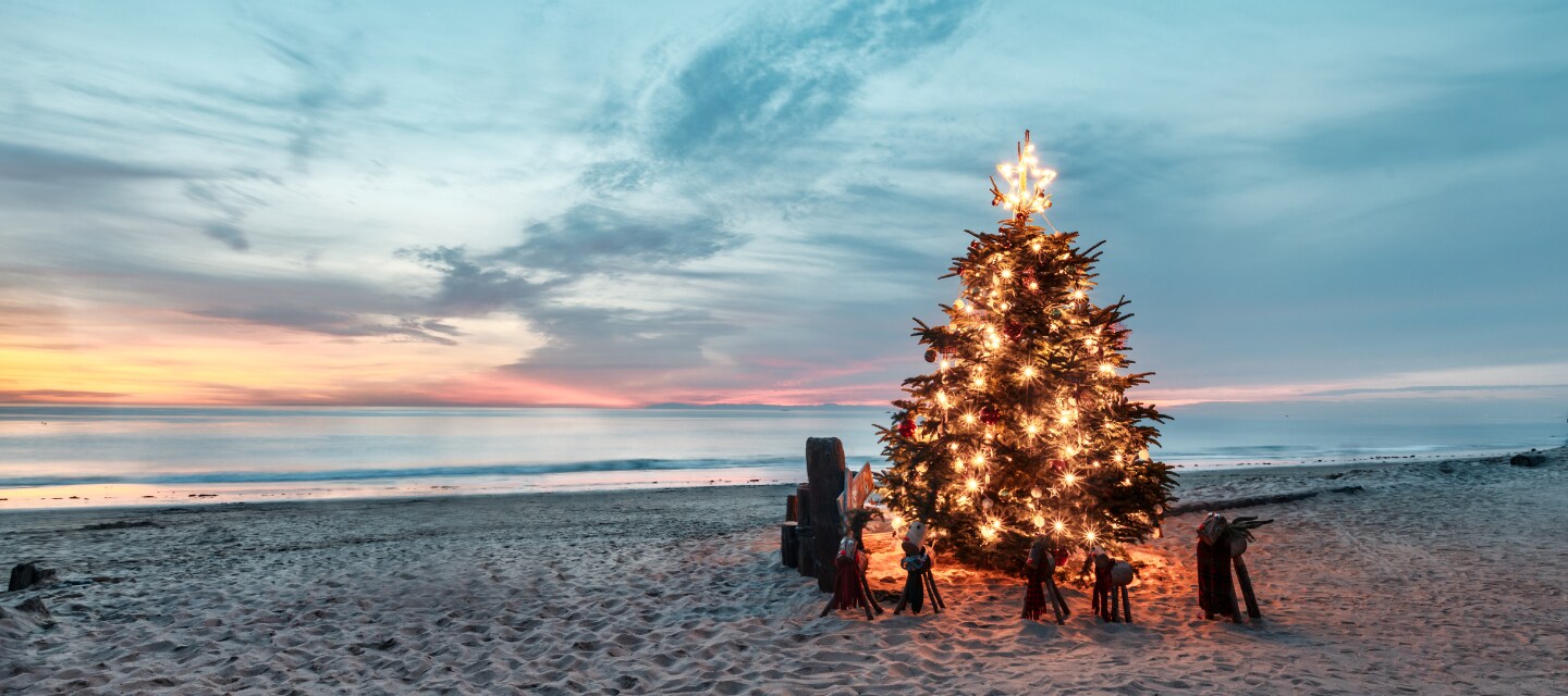 Christmas Tree Long Beach, NY