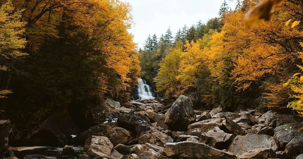 Things To Do in Concord NH | The Centennial Hotel​