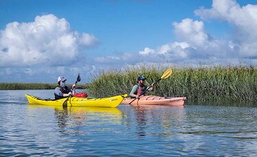 Hotel Tybee Beach Activities