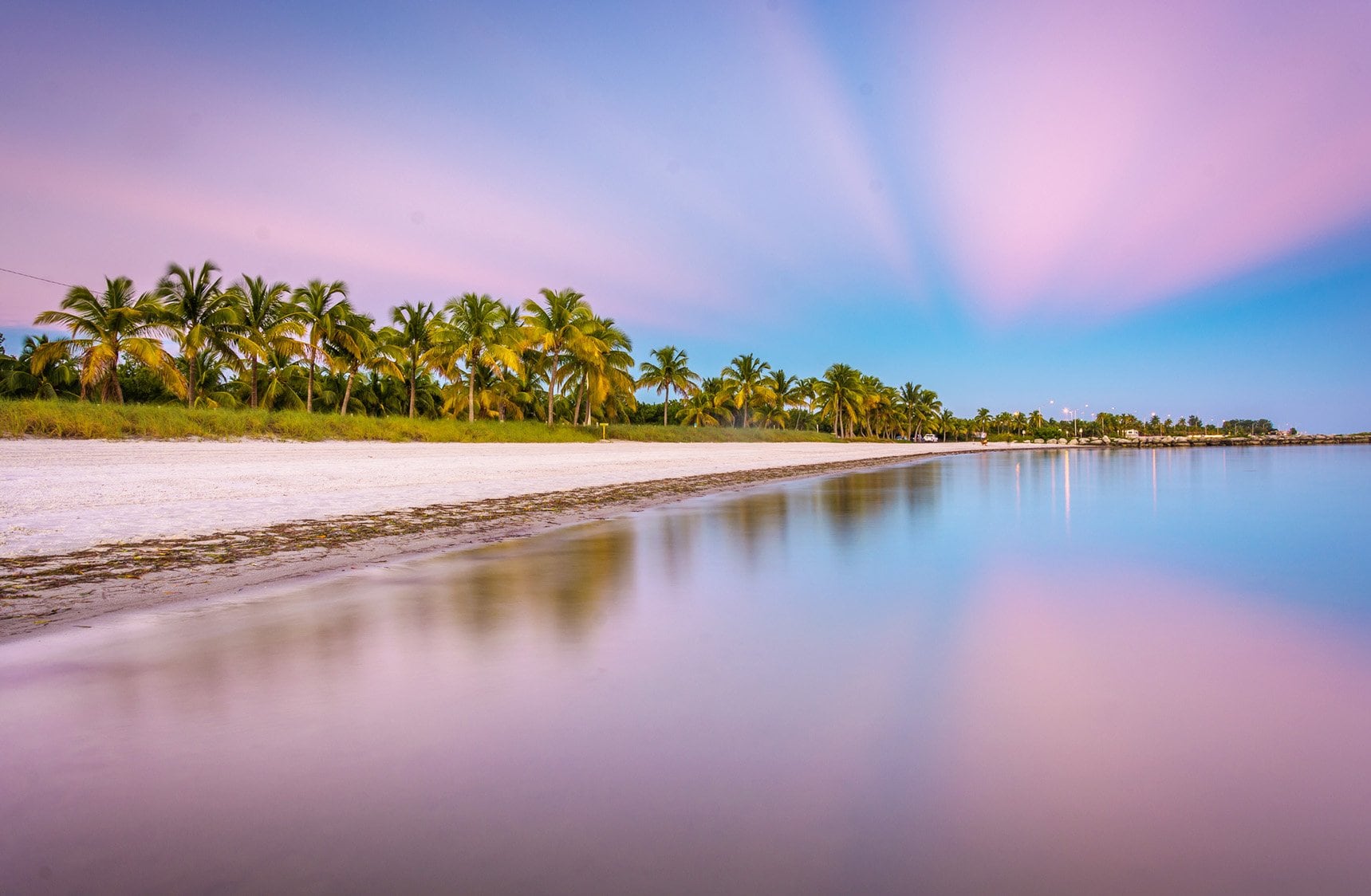 A serene beach scene with palm trees and calm water.