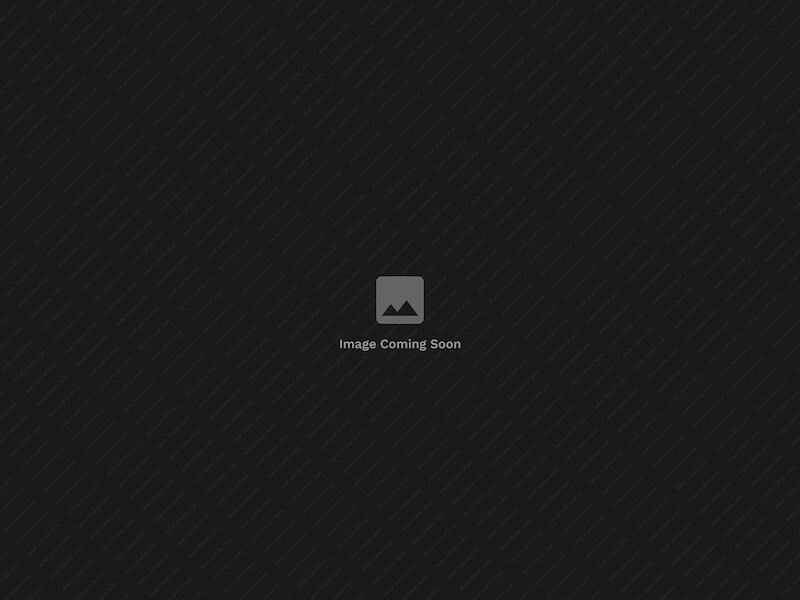 Image Alt Text Here