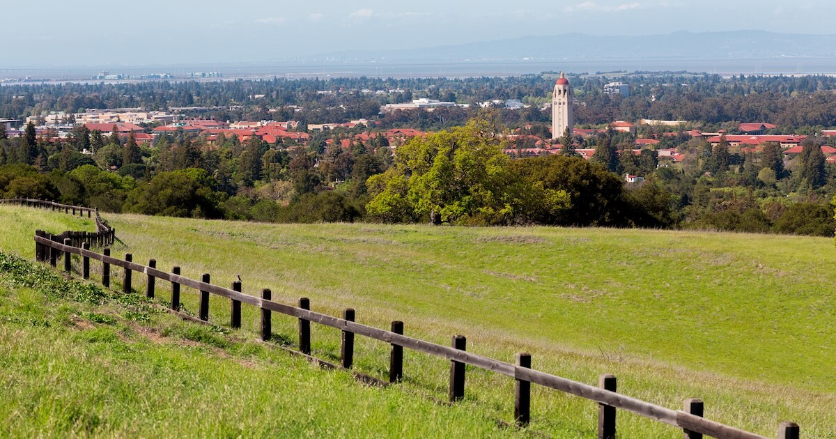 Your Guide to Local Attractions and Things to Do in Palo Alto
