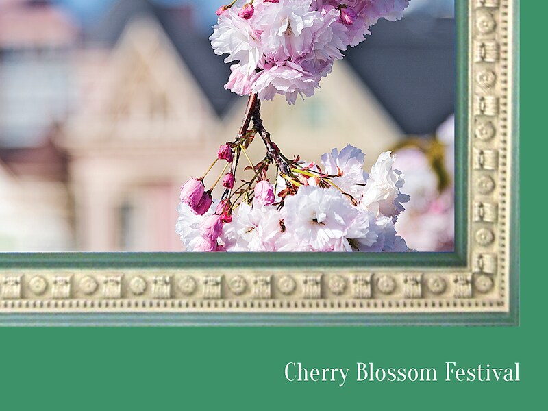 Stay for the Northern California Cherry Blossom Festival