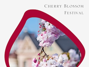 Stay for the Northern California Cherry Blossom Festival