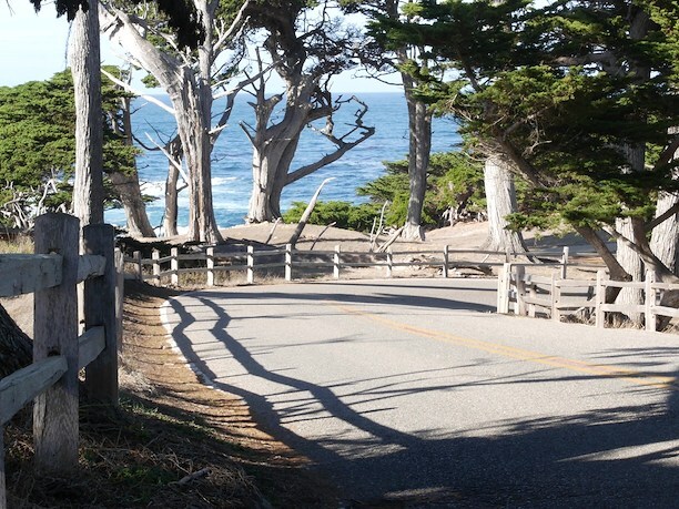 Iconic Coastal Drive