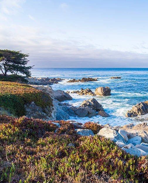 Getting Around Monterey From Hotel Abrego California