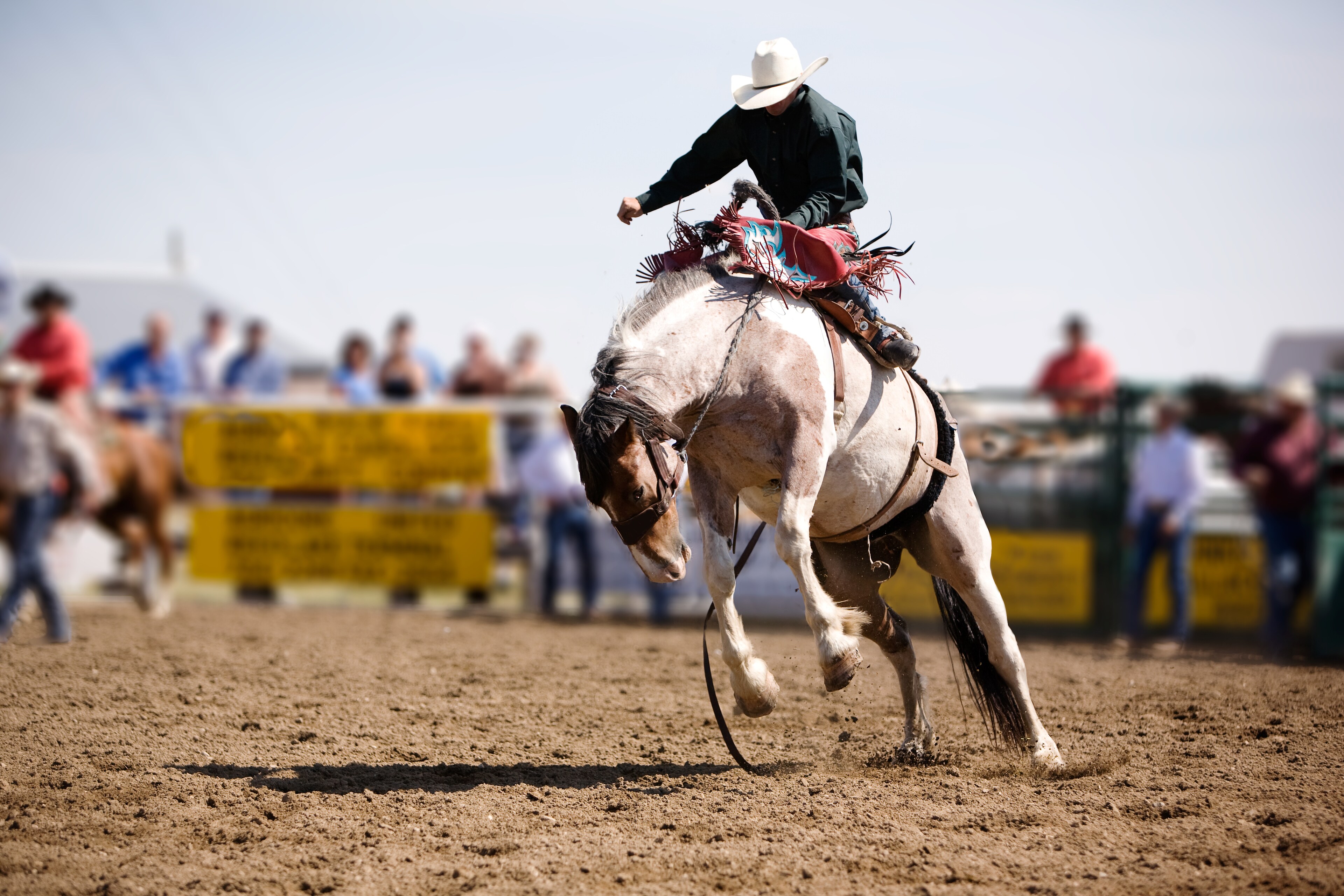 Bay Area Rodeo California Rodeo Salinas