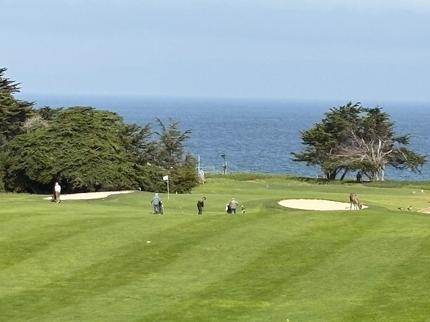 Set your tee time in Monterey with ocean views