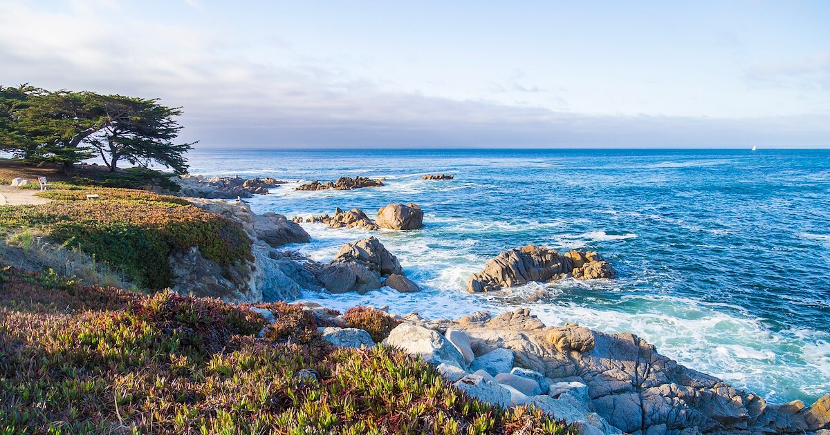 Things to Do in Monterey | Hotel Pacific Local Area