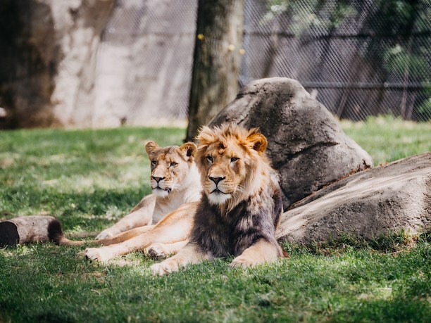 Family Friendly Zoo in Monterey
