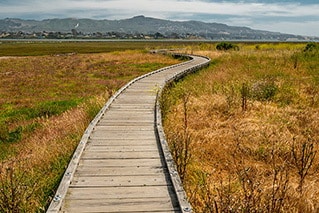Inn at Morro Bay — photo 32 of 60