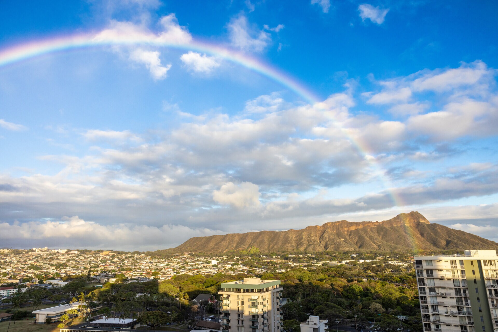 a rainbow over a city