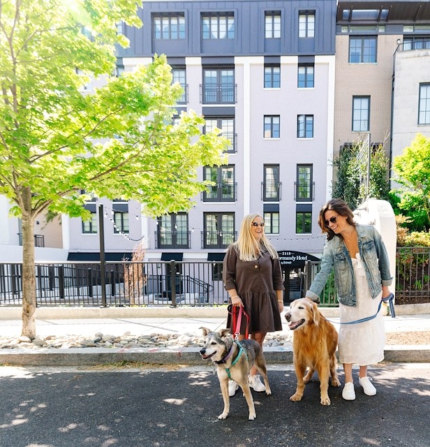 Two women walking two dogs in front of a multi-story building
