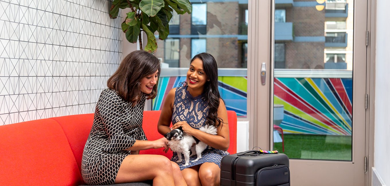 Girls with Dogs at Pod Times Square, Brooklyn, New York