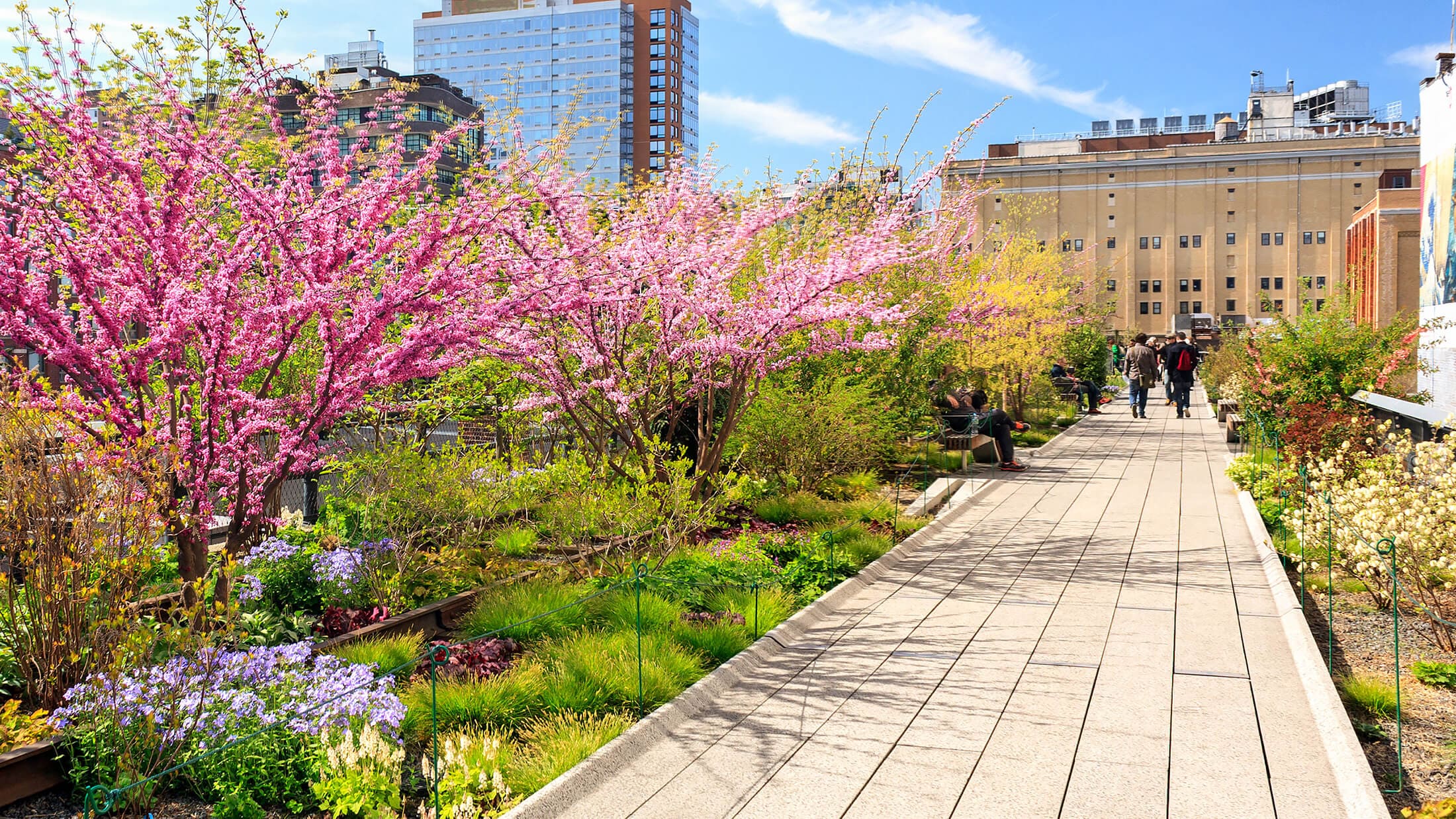a paved walkway with gardens and trees on either side, with a city skyline in the background