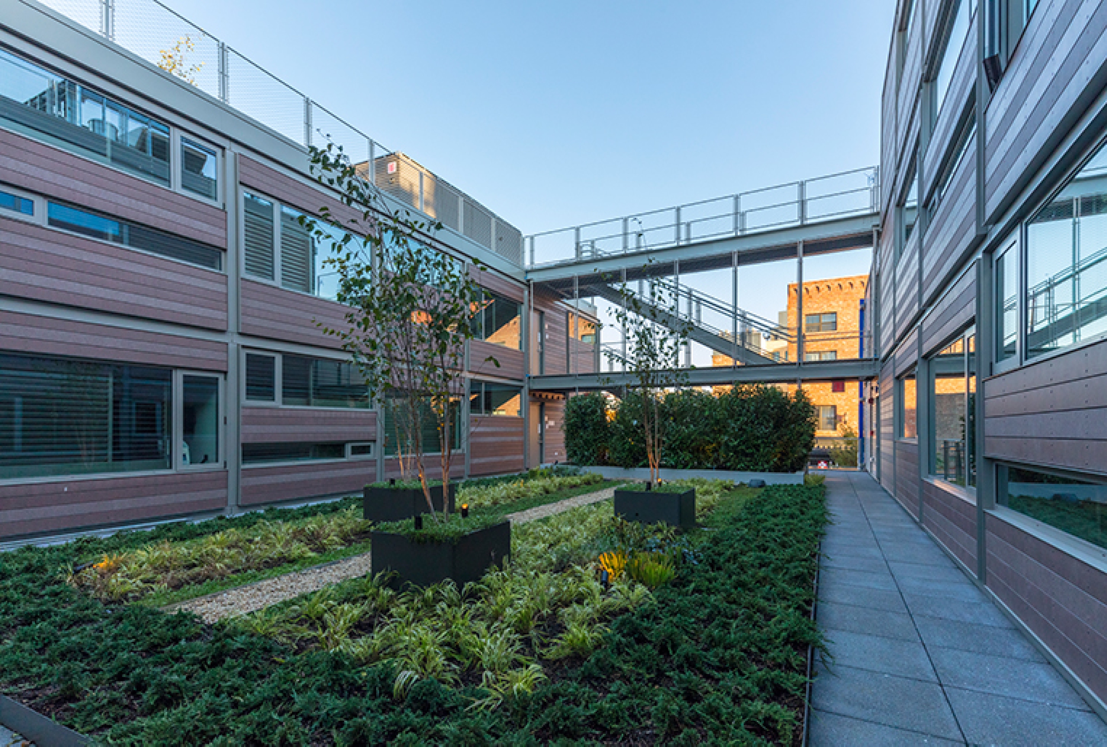 A courtyard with plants and trees, a pathway, and a bridge connecting two buildings.