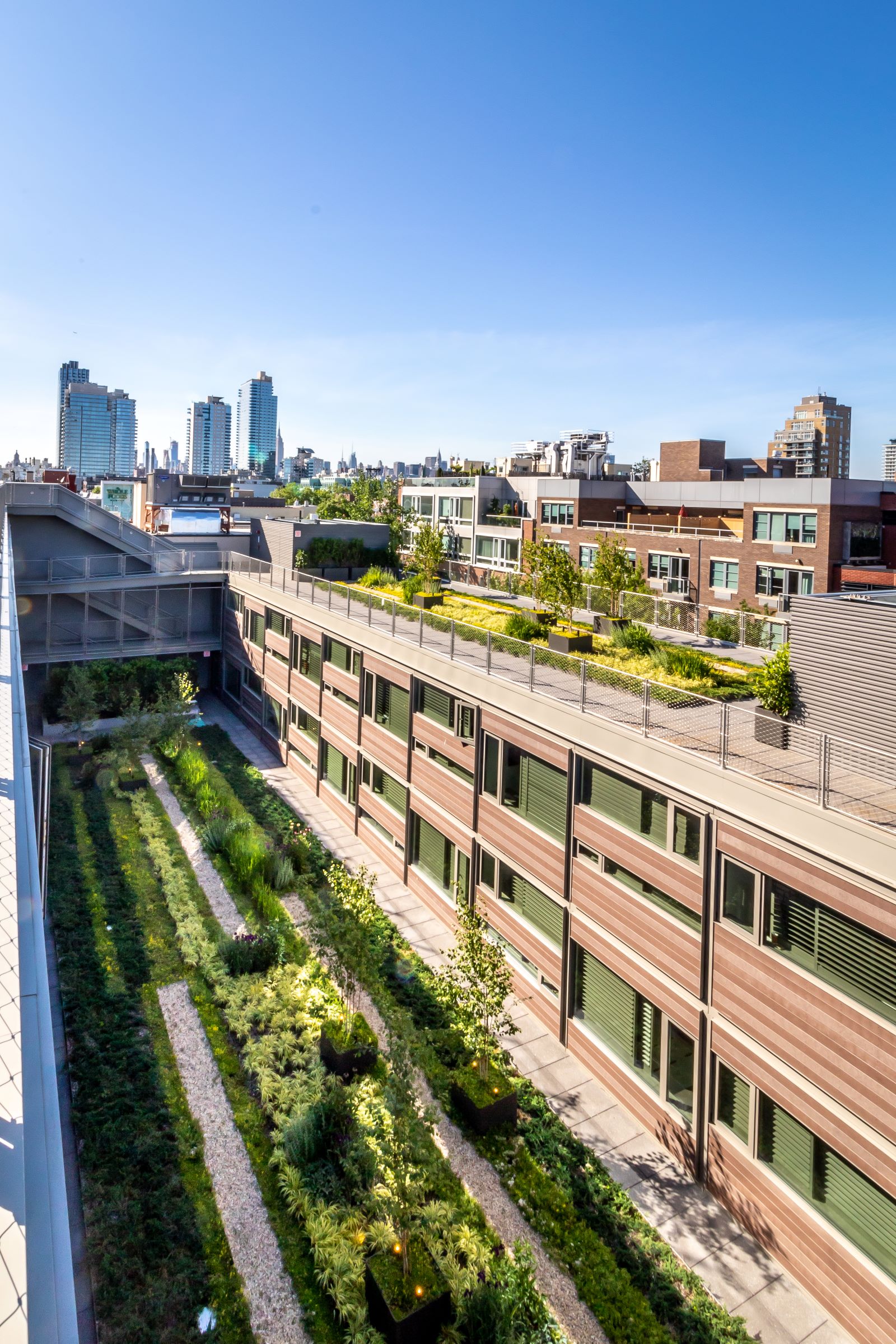 A rooftop garden with a city skyline view