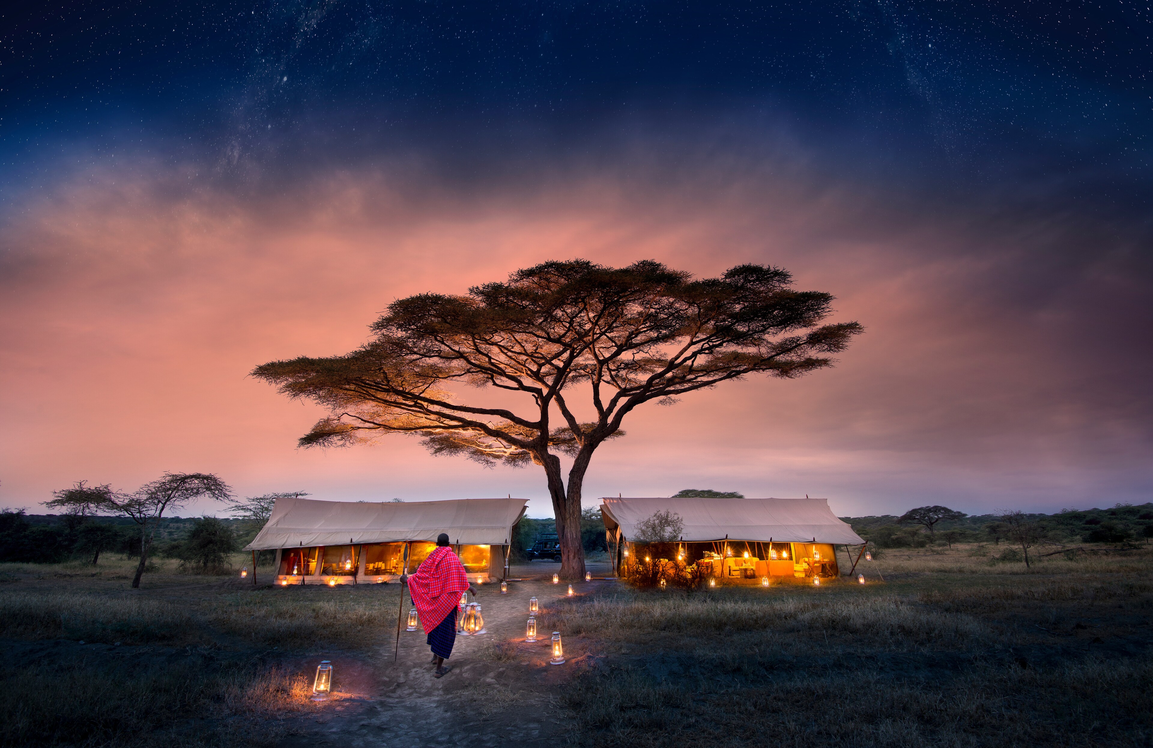 Each Tent Is Designed for Comfort in the Heart of the Wild