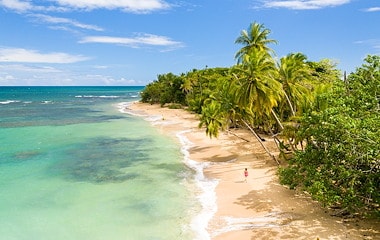Caribbean
