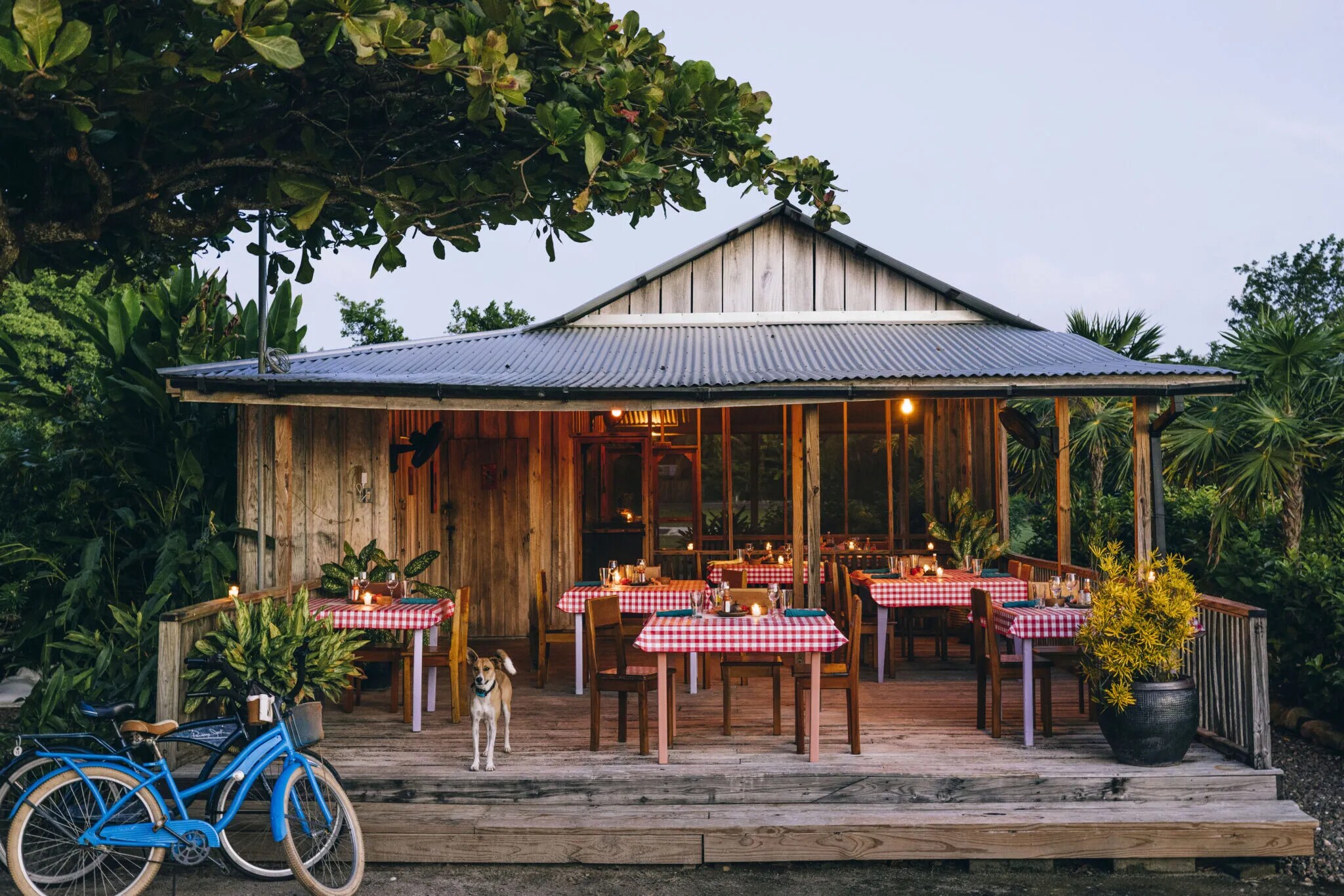 Rustic Belizean Diner Auntie Luba’s Kitchen