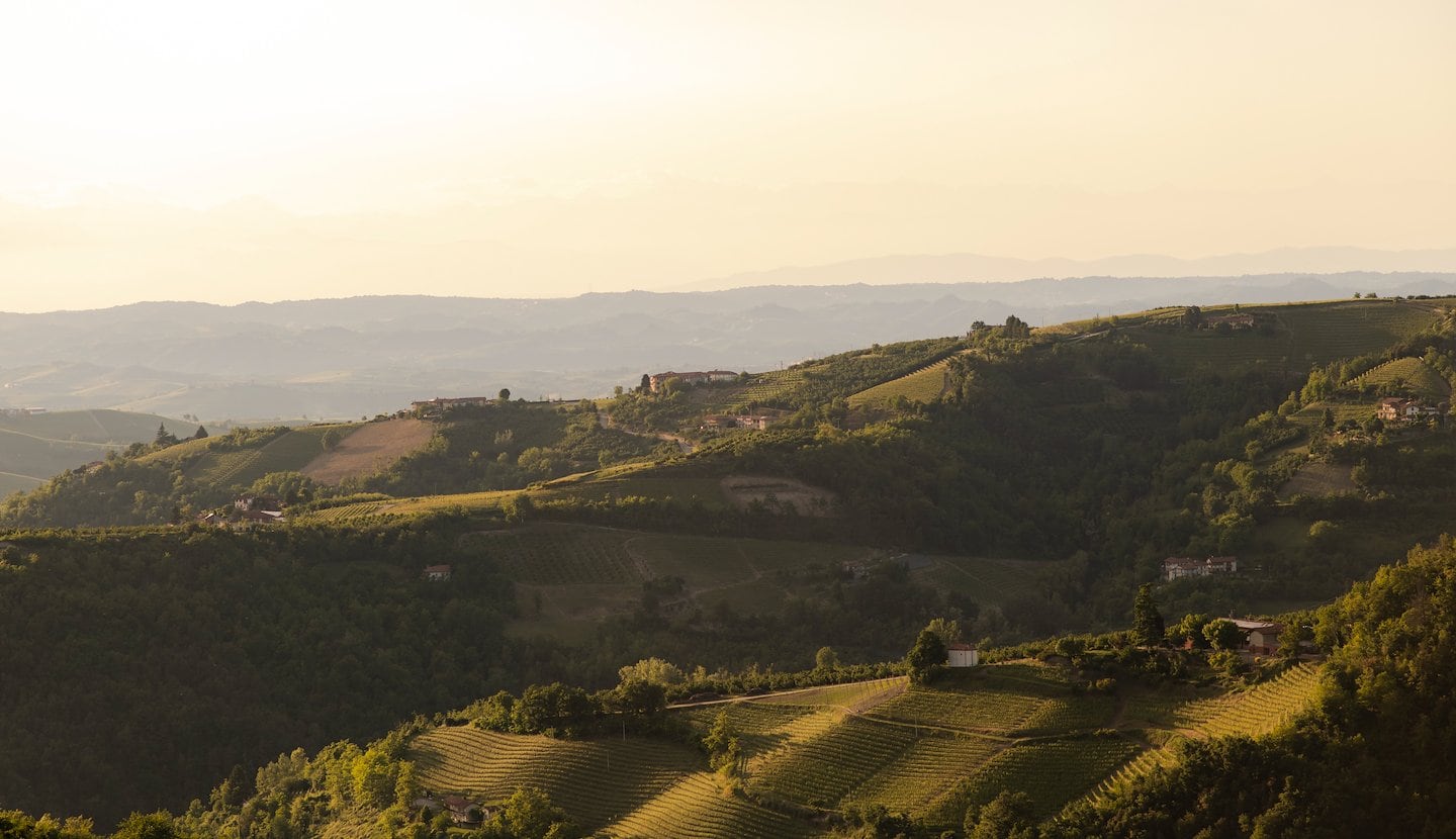 Sunlit Vineyard Hills Tenuta di Murlo
