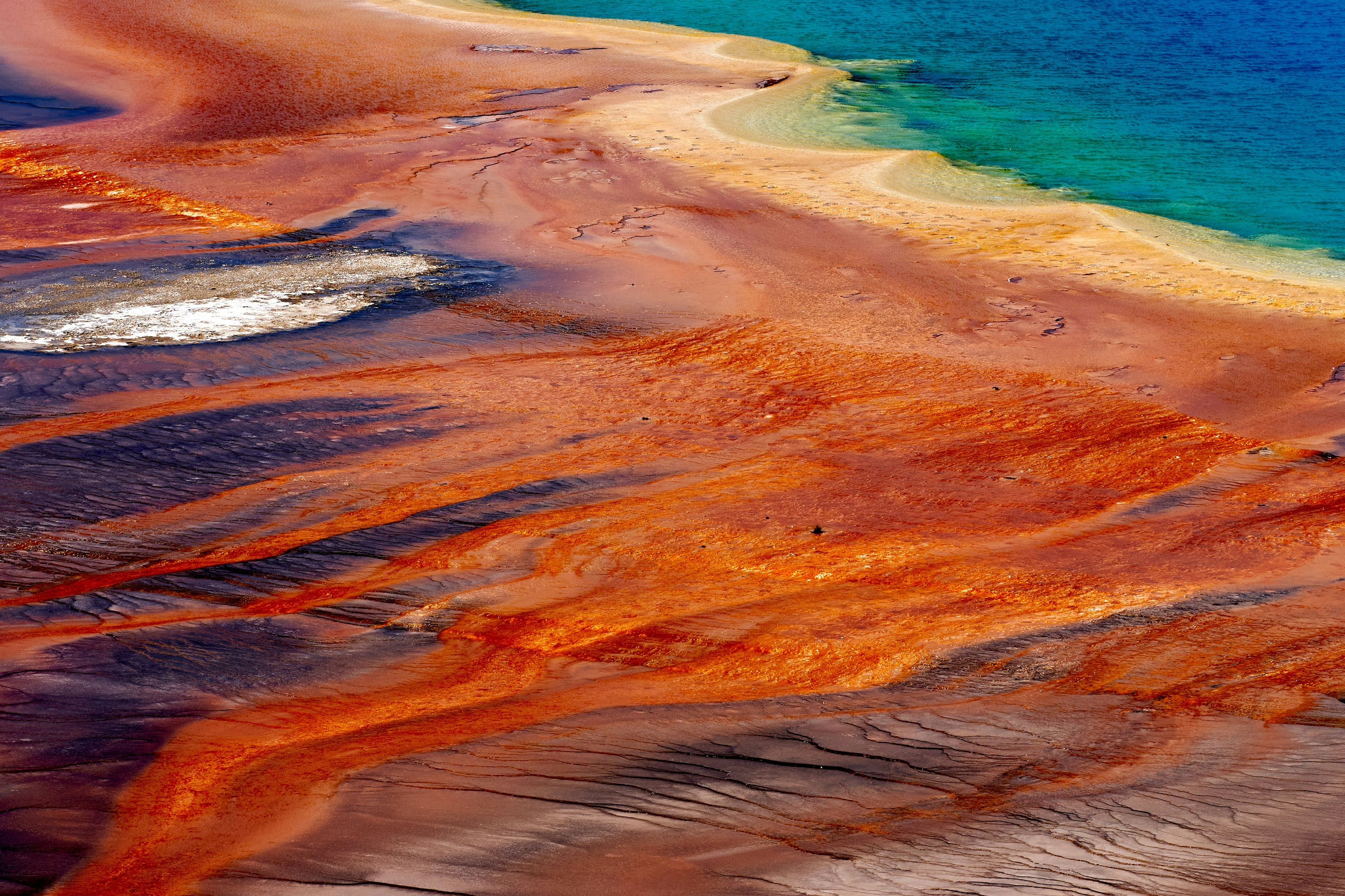 <p>The striking, unearthly colors of Yellowstone National Park's Grand Prismatic Spring are truly a sight to behold.</p>