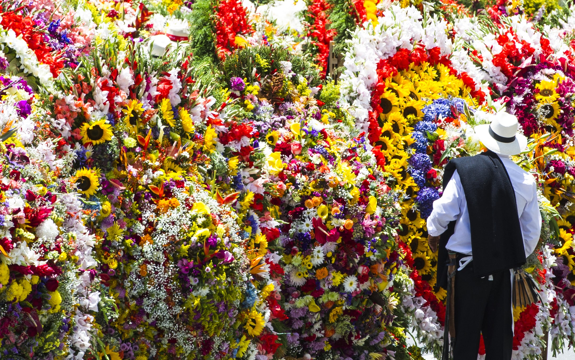 <p>At Medellín’s colorful Feria de las Flores, enormous floral arrangements are crafted by local flower farmers and later paraded through the city streets in a vibrant showcase of agricultural prowess.</p>