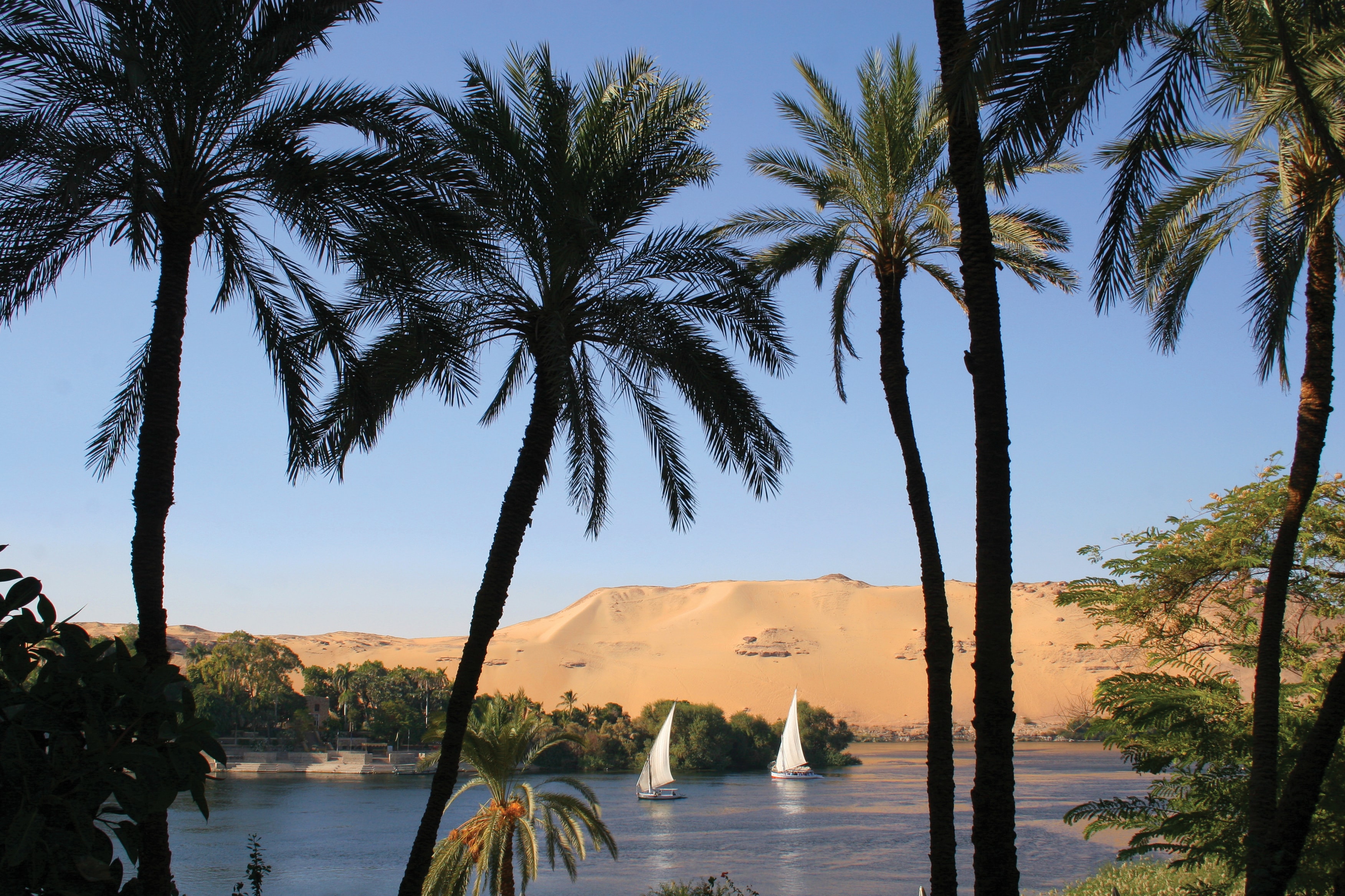 <p><i>Feluccas</i> (sailboats) on the Nile River.</p>