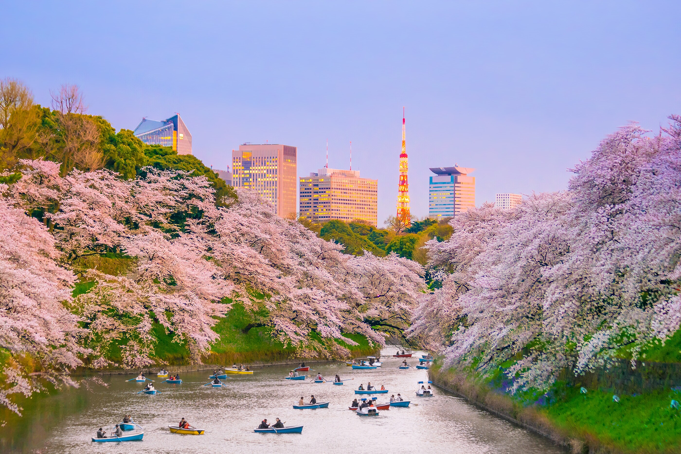 Go for a scenic cruise along the river for an extraordinary display of cherry blossoms in Chidorigafuchi Park.