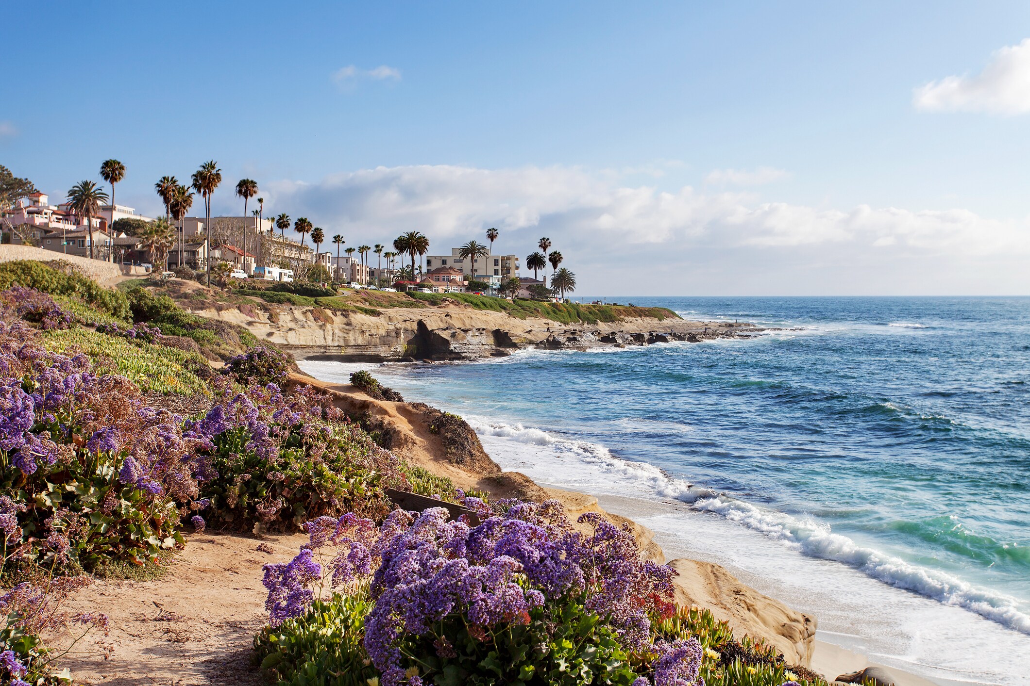 <p>La Jolla's picturesque coastline.</p>