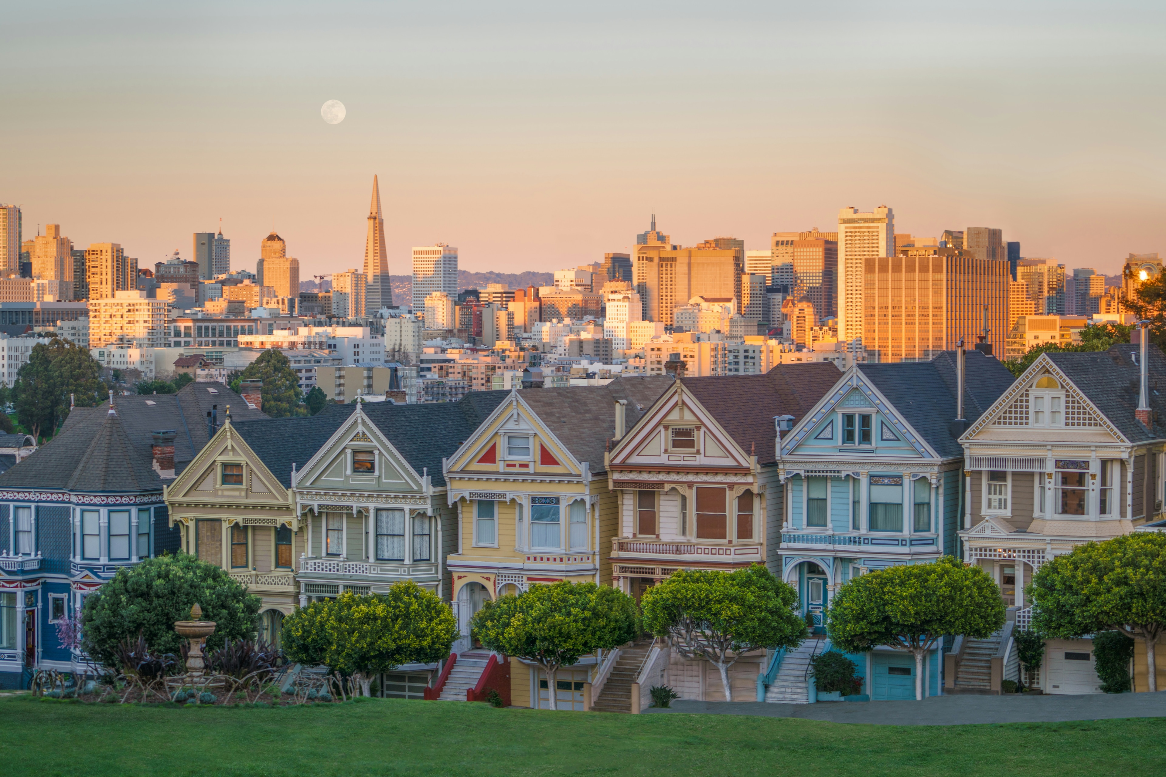 <p>San Francisco's Painted Ladies backdropped by the city's striking skyline.</p>